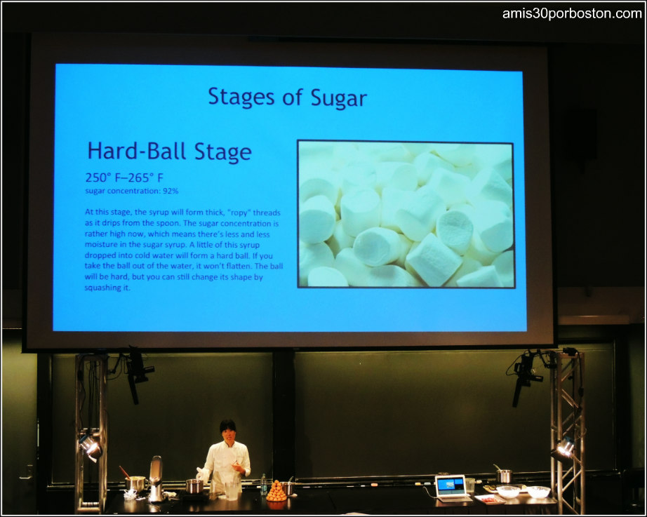 Science and Cooking 2015 Lecture Series Universidad de Harvard