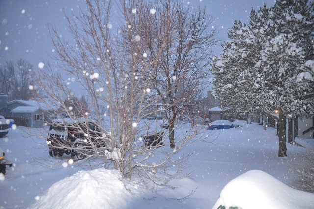 Colorado Springs blizzard coloradoviews.filminspector.com