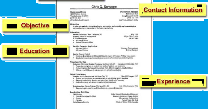 Free resume Builder ResumeBaking Free resume Builder ResumeBaking