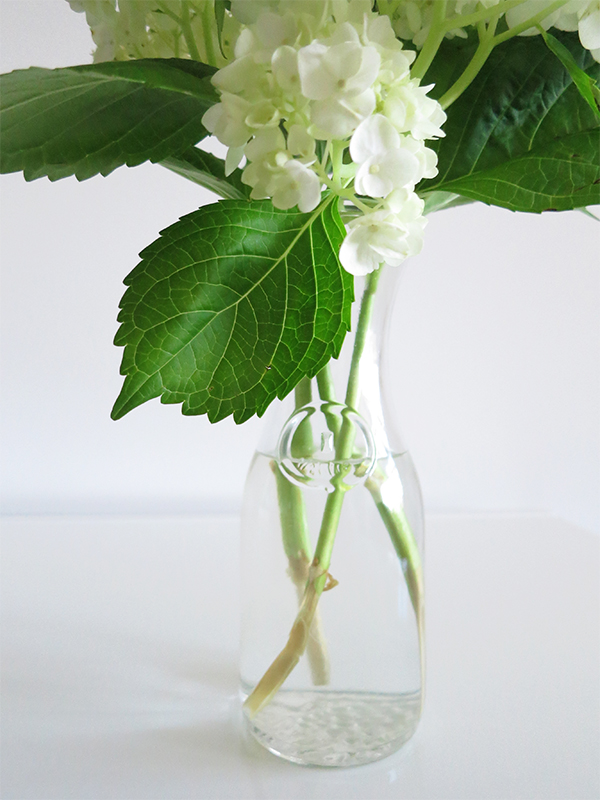 How To Make Hydrangeas Last Forever Solo Lisa