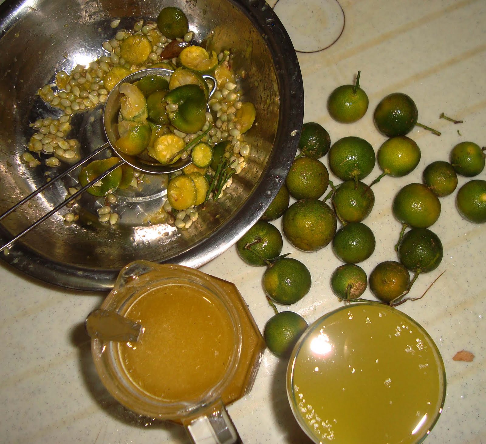 Living with Nature School on Blog by Dr. Abercio V. Rotor Make your