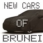 New Models Of Brunei