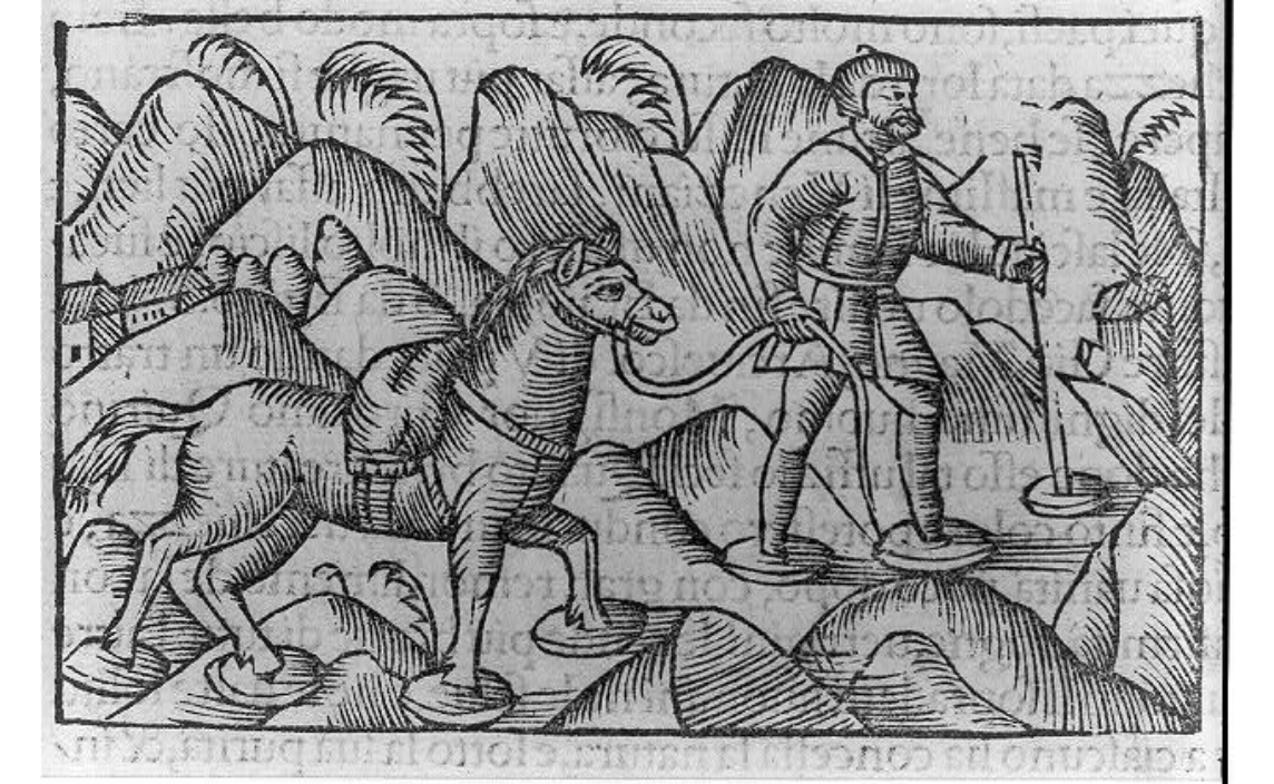 Heroes, Heroines, and History Horses Wearing Snowshoes