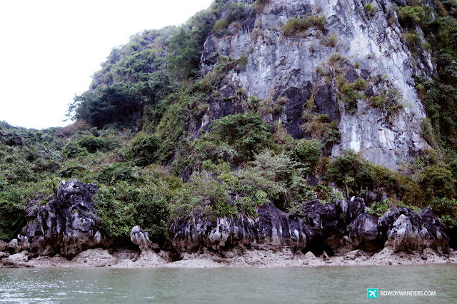 Woow 2D/1N Maya Cruise Tour: Here are Stunning Photos of Day two - Lan Ha Bay Luxury Cruise com Singapore Travel Blog Philippines Photo Woow 2D/1N Maya Cruise Tour: Here are Stunning Photos of Day two - Lan Ha Bay Luxury Cruise