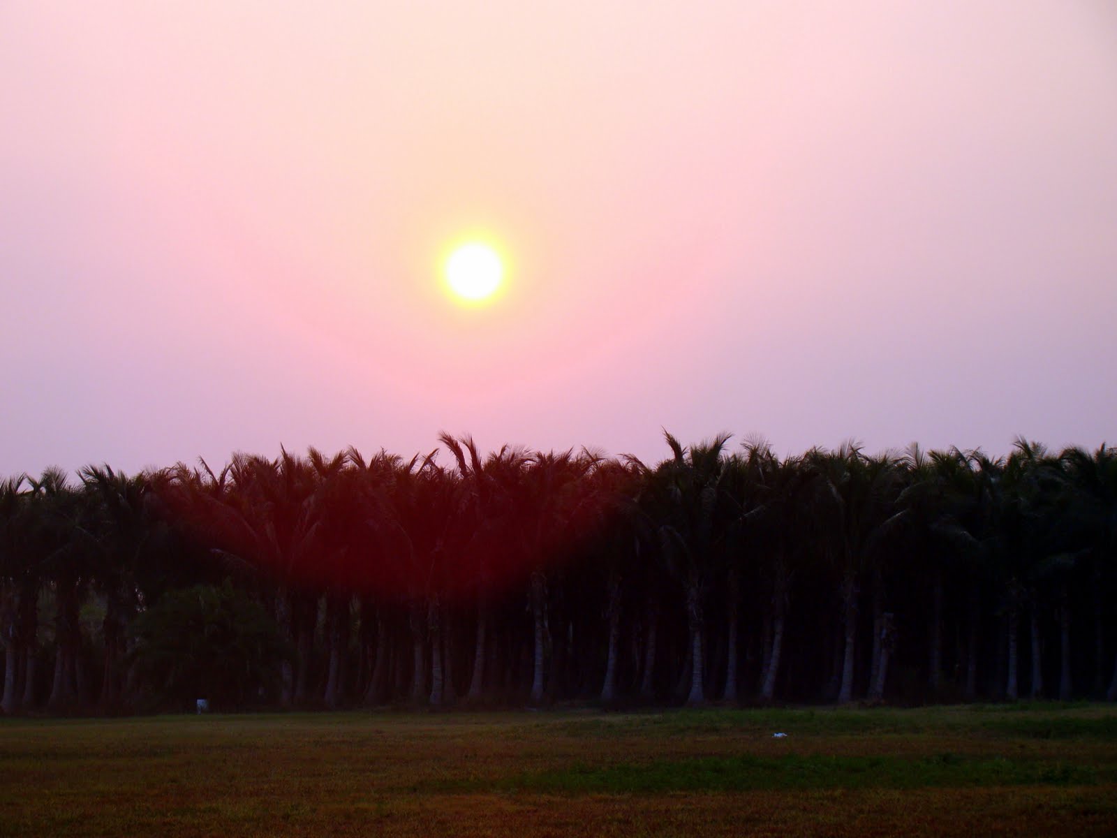 Pine Island, Florida Five Reasons Now is the Time to Buy Real Estate