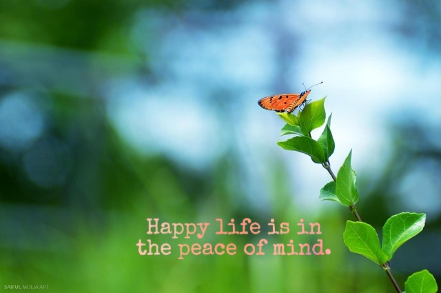 Happy life status Happy life status