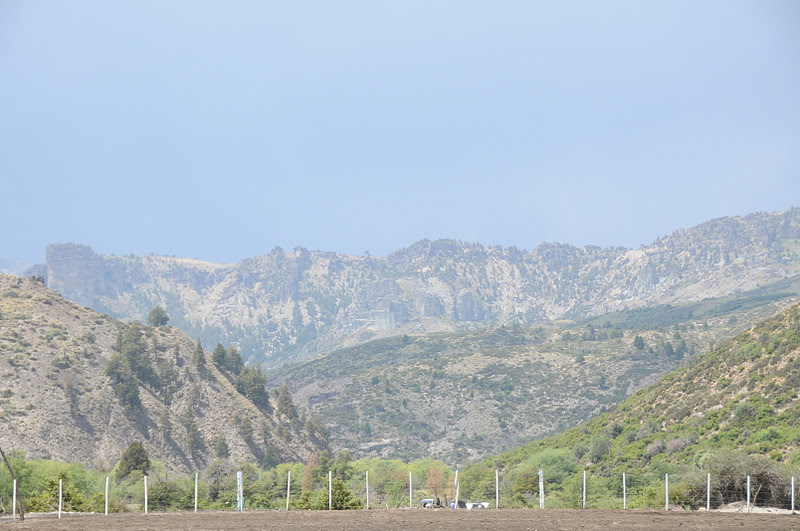 Fotos con sabor a campo Cuyín Manzano 2012...