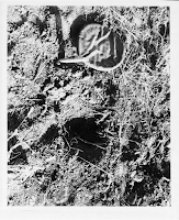 UFO Landing Site Photo at Gwinner, N.D. (pg 4) 10-26-1966