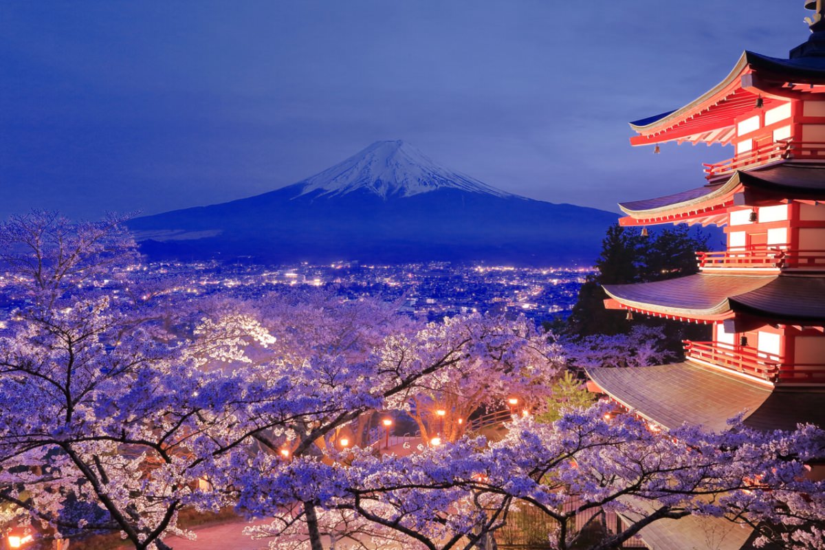 токио экскурсии. киото ханами. киото сакура. тур в японию 2023ы. туры в японию 2024 с перелетом.