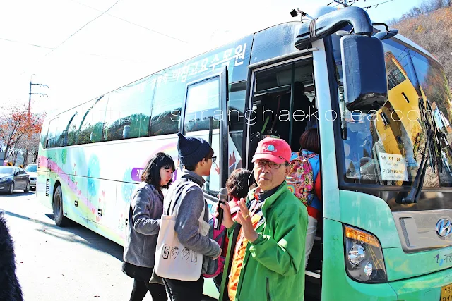 The Gapyeong City Bus Tour