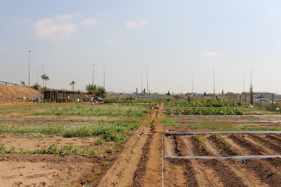 parcelas urban cultive