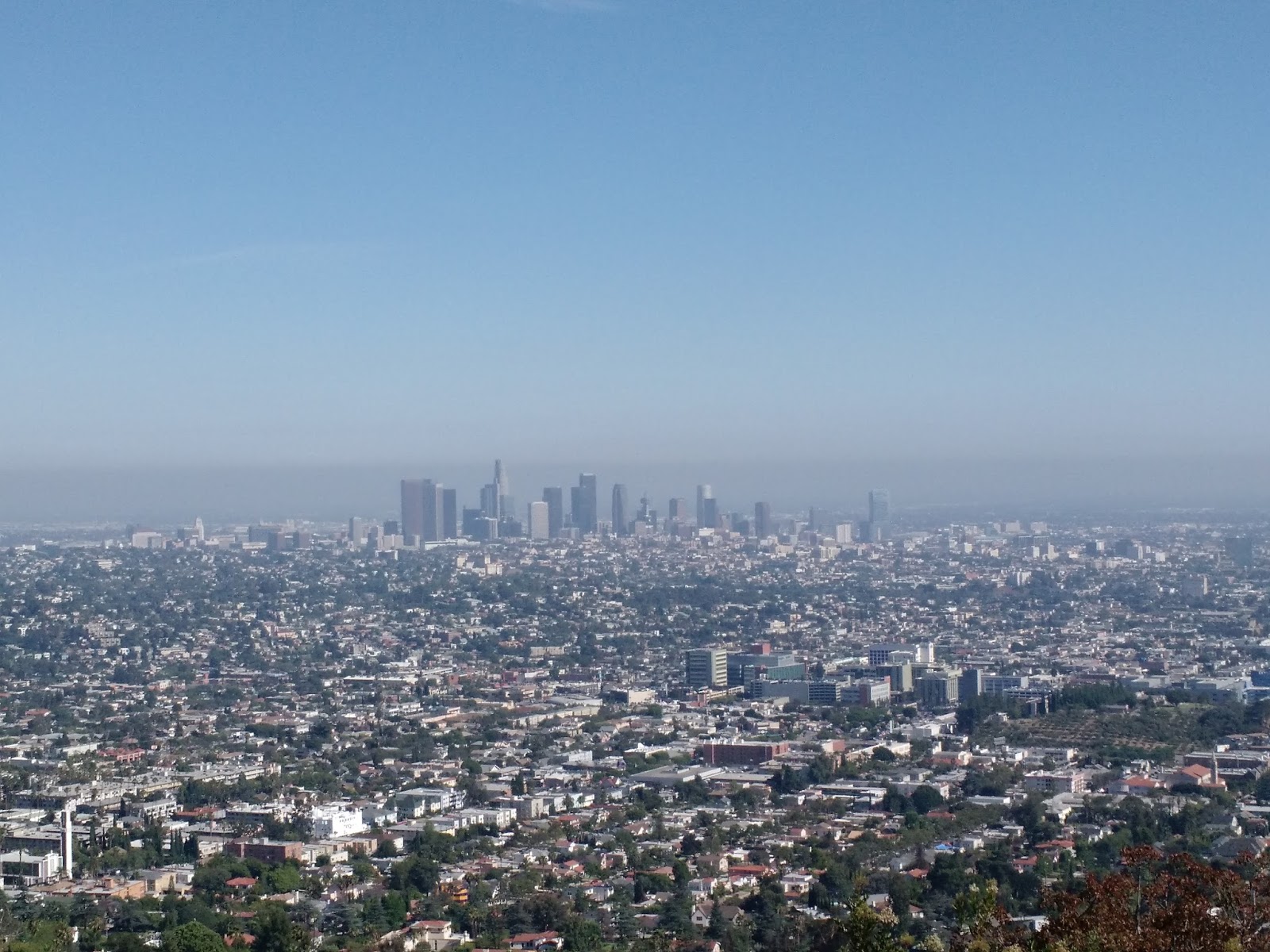 Лос анджелес центр города. Лос-анджелес. Какая дата в лос анджелесе. Какая дата в лос анджелесе. Бульваре санта-моника в голливуде.