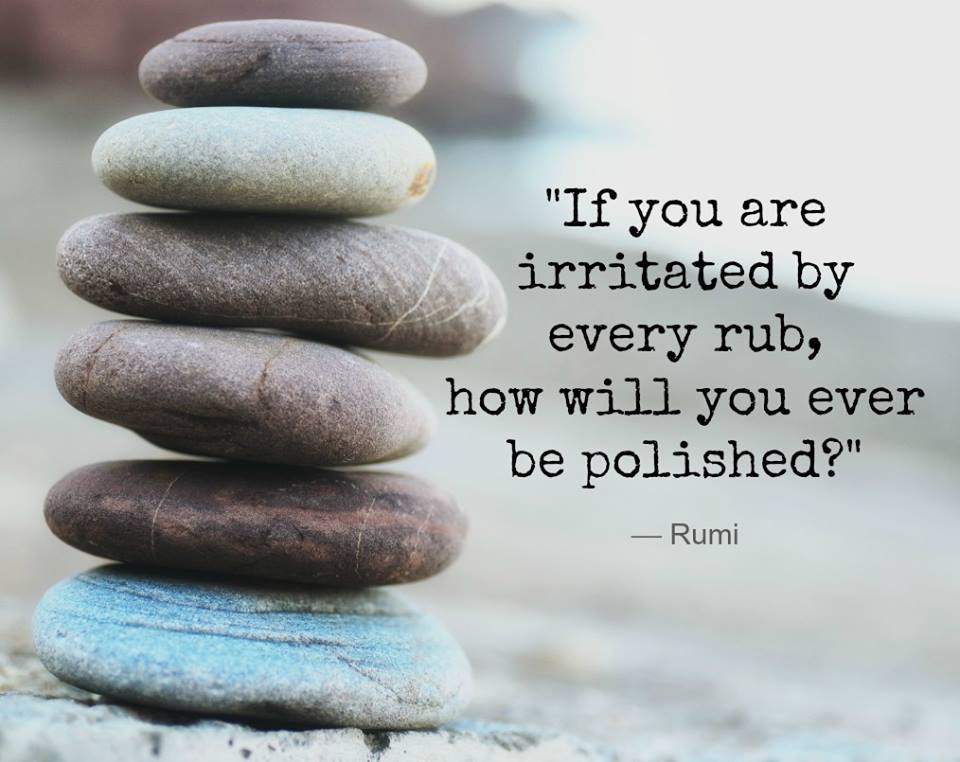 Quotes & Inspiration If you are irritated by every rub, how will you