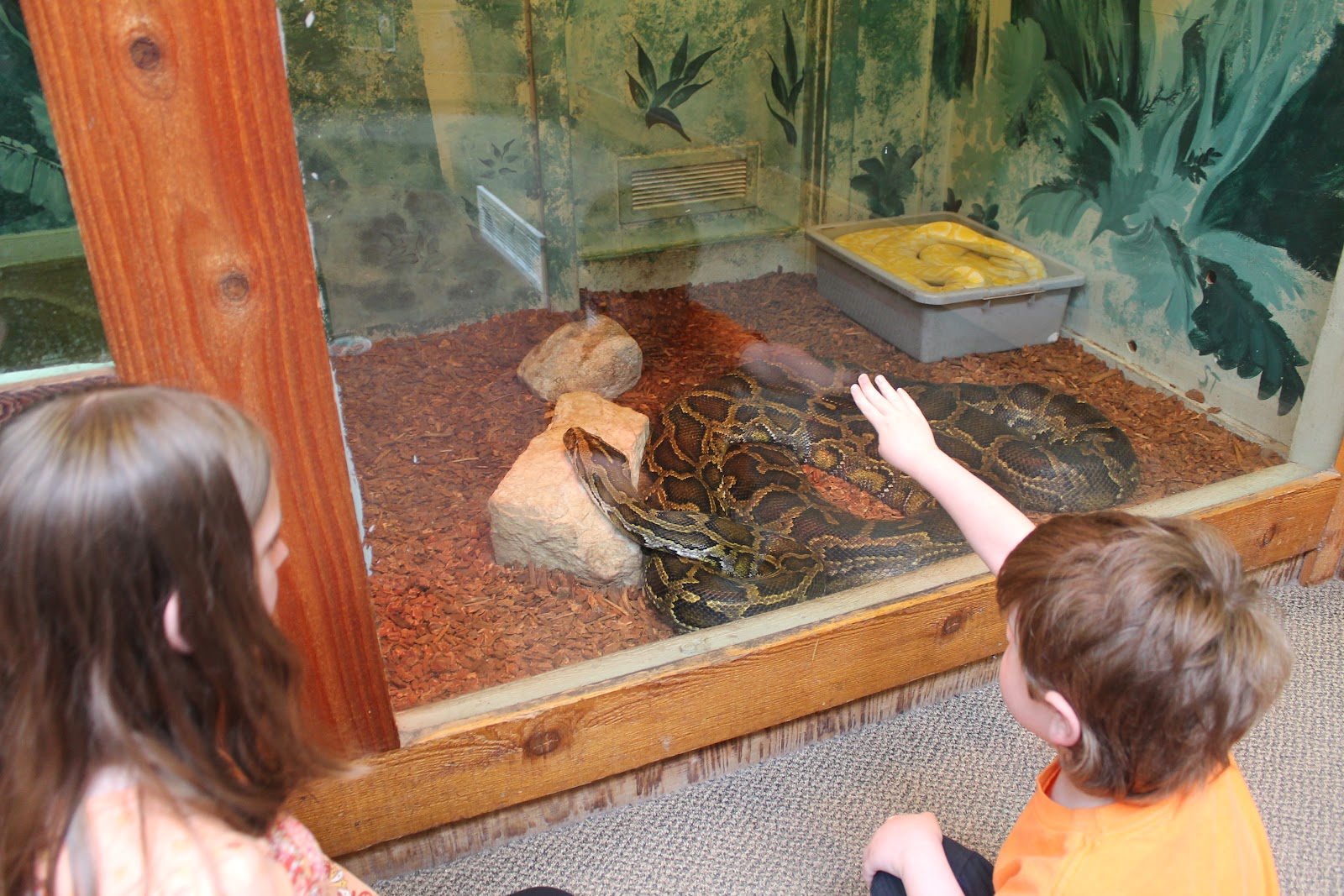 Hoorahoopti Away Scovill ZooDecatur, IL