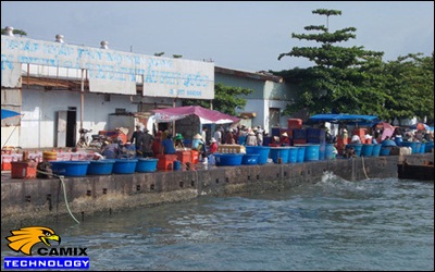 Công ty tư vấn đầu tư trạm xử lý nước thải thủy hải sản - Ô nhiễm tại các cảng cá, bến cá