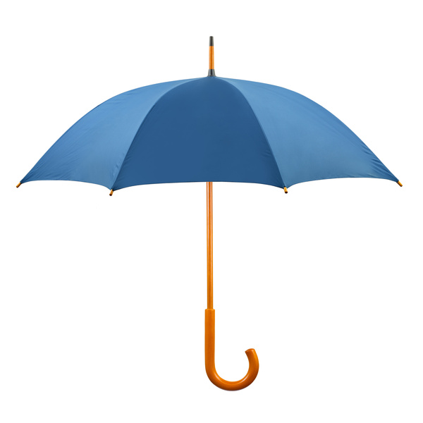 she's taking notes: Umbrellaphobia