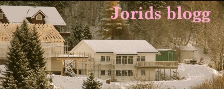 Jorids blogg