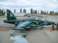 Sukhoi su-25 Gralha