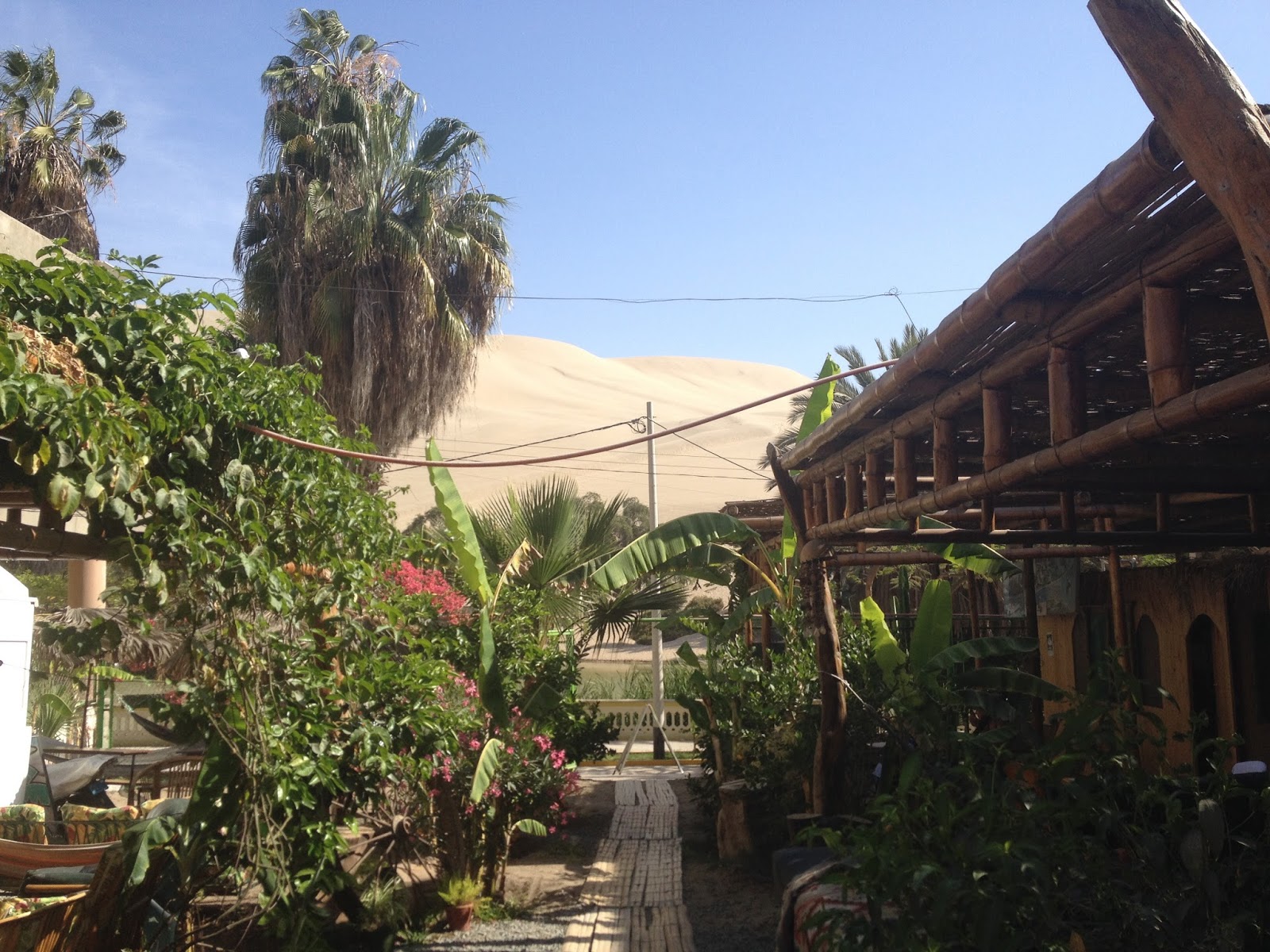 El albergue El albergue