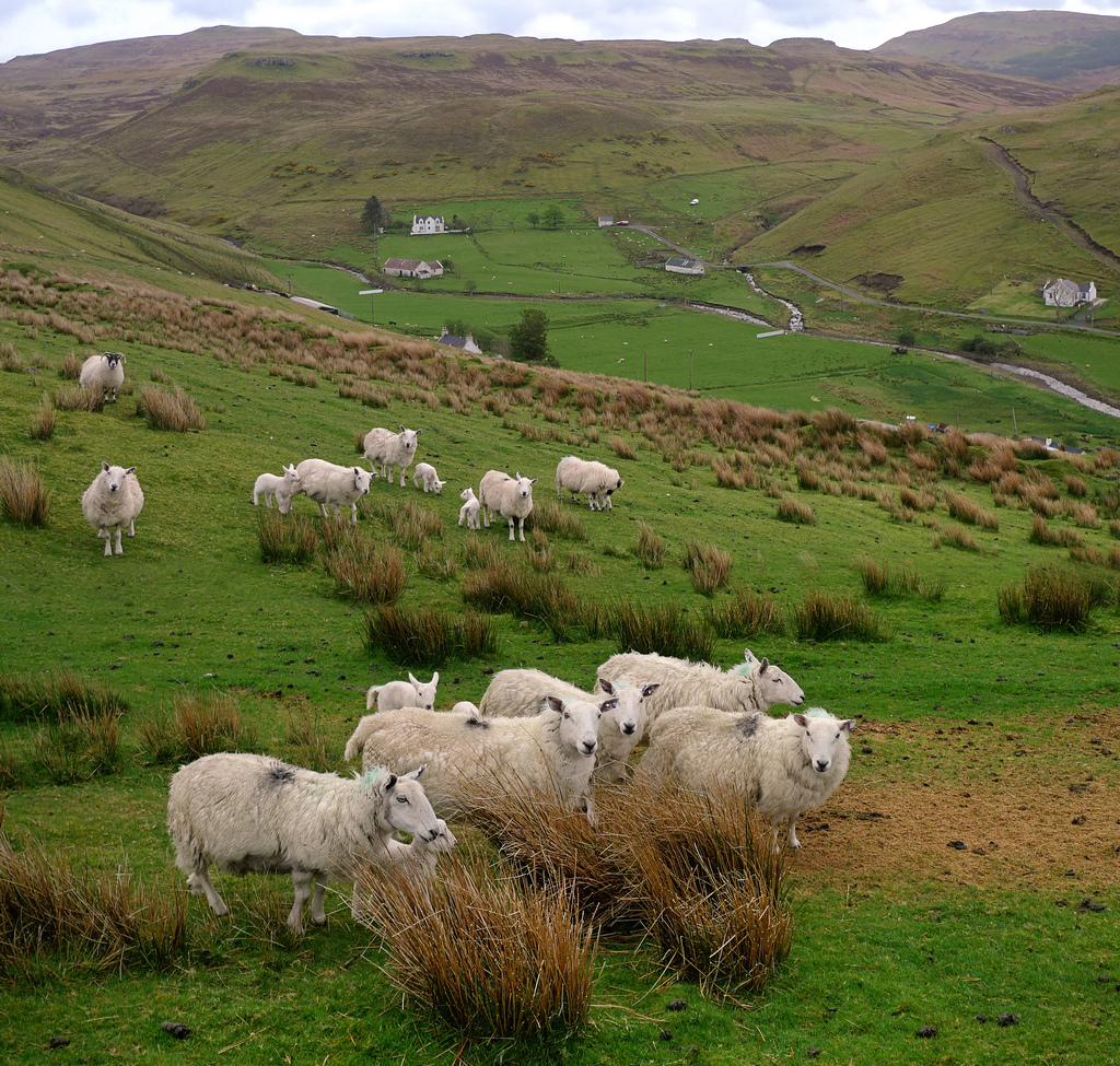American Irish Happy Hour In The Highlands