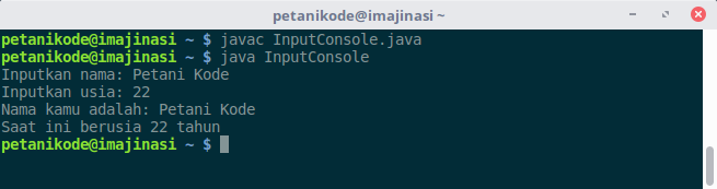 Java input console