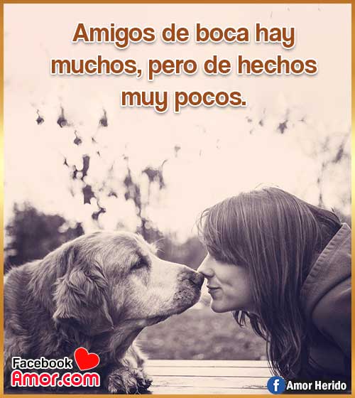 frases bonitas de amistad frases bonitas de amistad