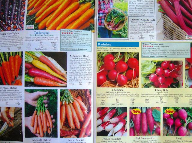 Ordering Seed Catalogs for Square Foot Gardening
