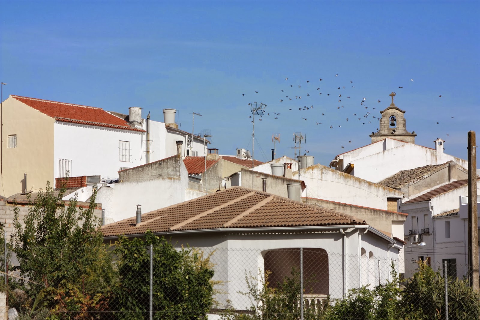El mundoblog de Miguel Caballero Higuera de Calatrava, la bella