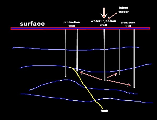 Trace test. Trace test. Цифры worksheets. 3. National health service.