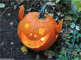 Decoraciones de Halloween en Massachusetts: Calabaza en Beacon Hill 
