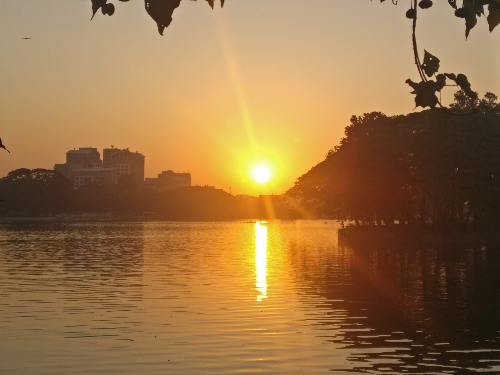 Mindless Satire Halasuru Lake By the Morning A Solace in the Urban Chaos