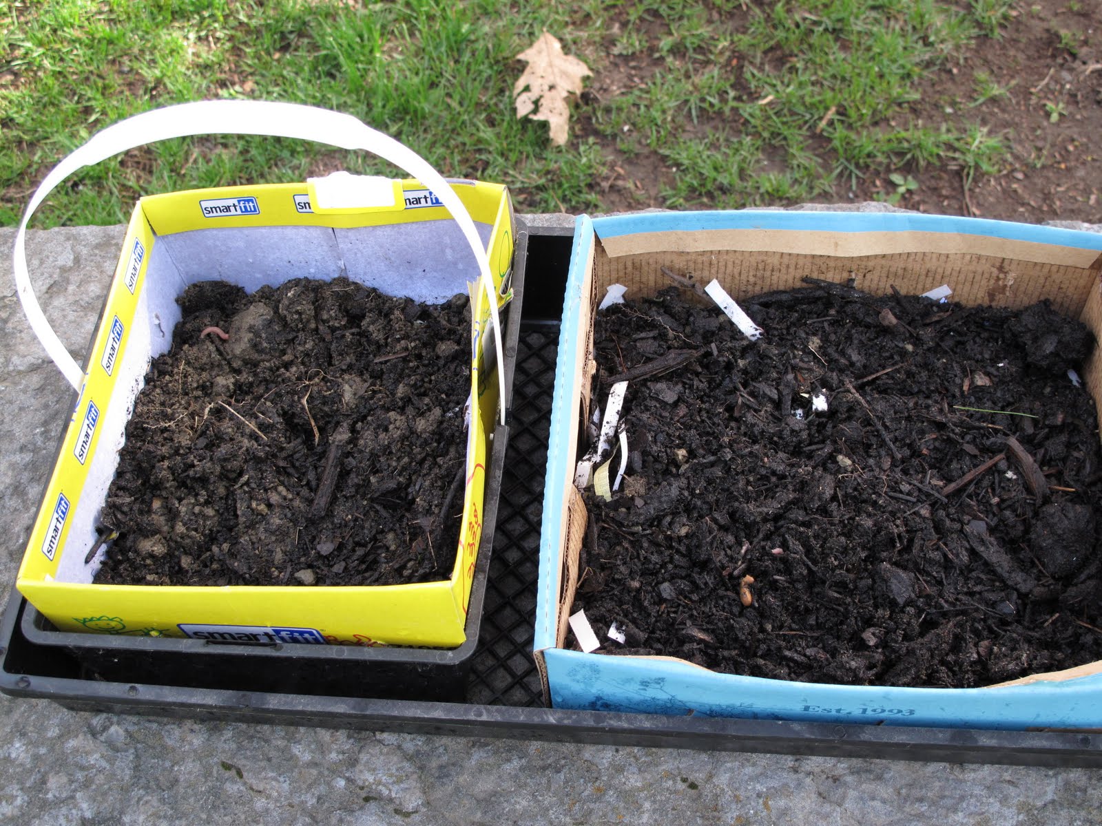 Nature Loving Kids Worm Boxes