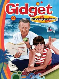 Gidget's TV series on DVD