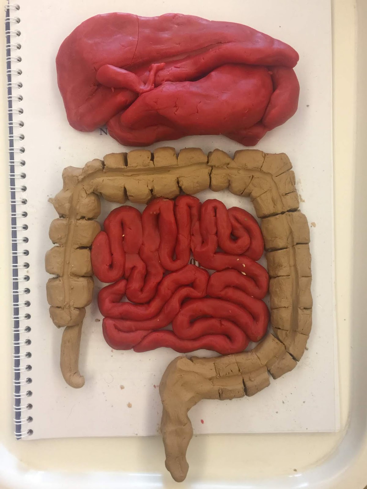 Impaired but Empowered