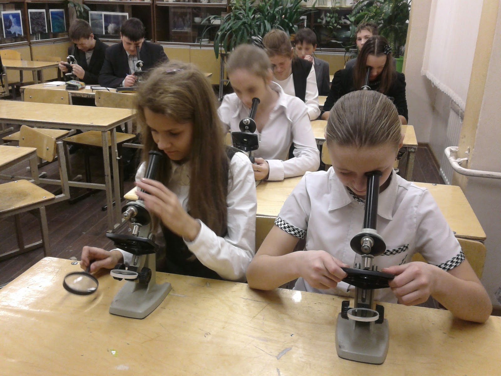 На занятии биологического кружка школьники выполняли. На занятии биологического кружка школьники выполняли. Цифровой микроскоп в начальной школе. На занятии биологического кружка школьники выполняли. Дети на уроке биологии.