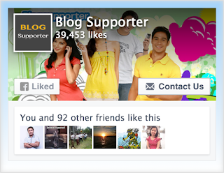 facebook widget your website Facebook Like Box Style 2