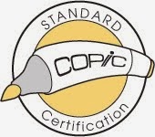 Copic Standard Certification