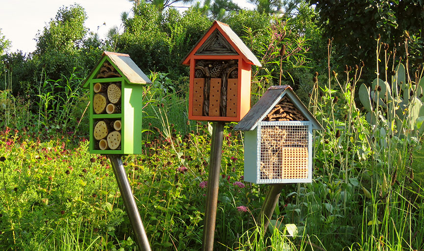 gardensduke Fall Plant Sale Preview Celebrating Pollinators