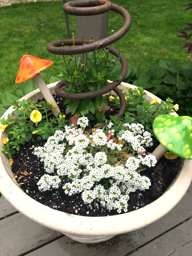 Old spring, orange mushroom and white flowers