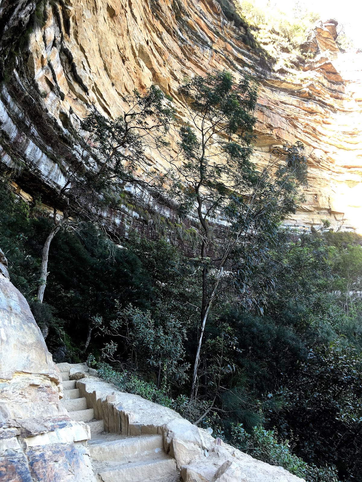 The National Pass track in the World Heritage listed Blue Mountains has been one of the most beautiful hiking trails I have seen. With the highest outdoor staircase and breathtaking views it's not to be missed!