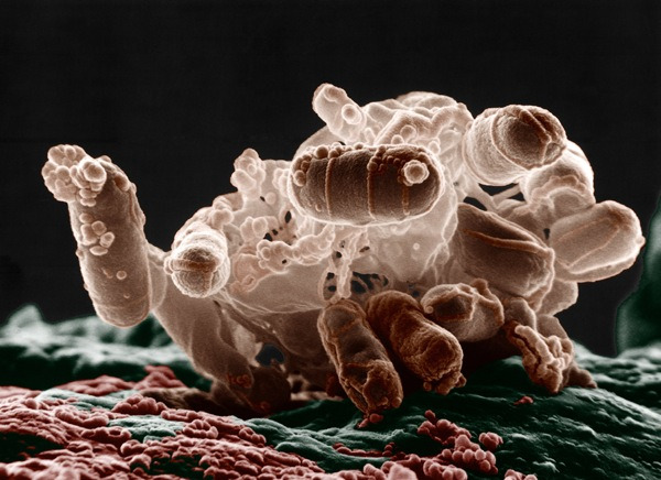 dalam Air Minum Kita