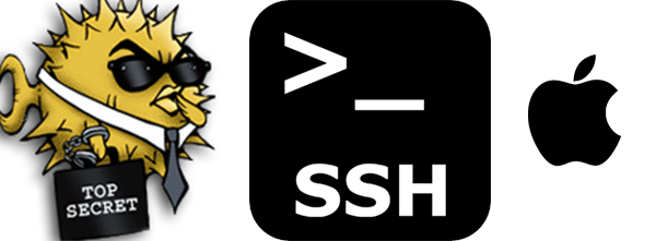 Day 0f Develop: Kali Linux 2: Conectarse a Kali Linux mediante SSH