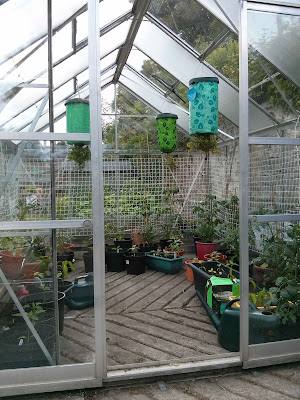 greenhouse,