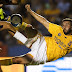 Tigres devora al Tiburón