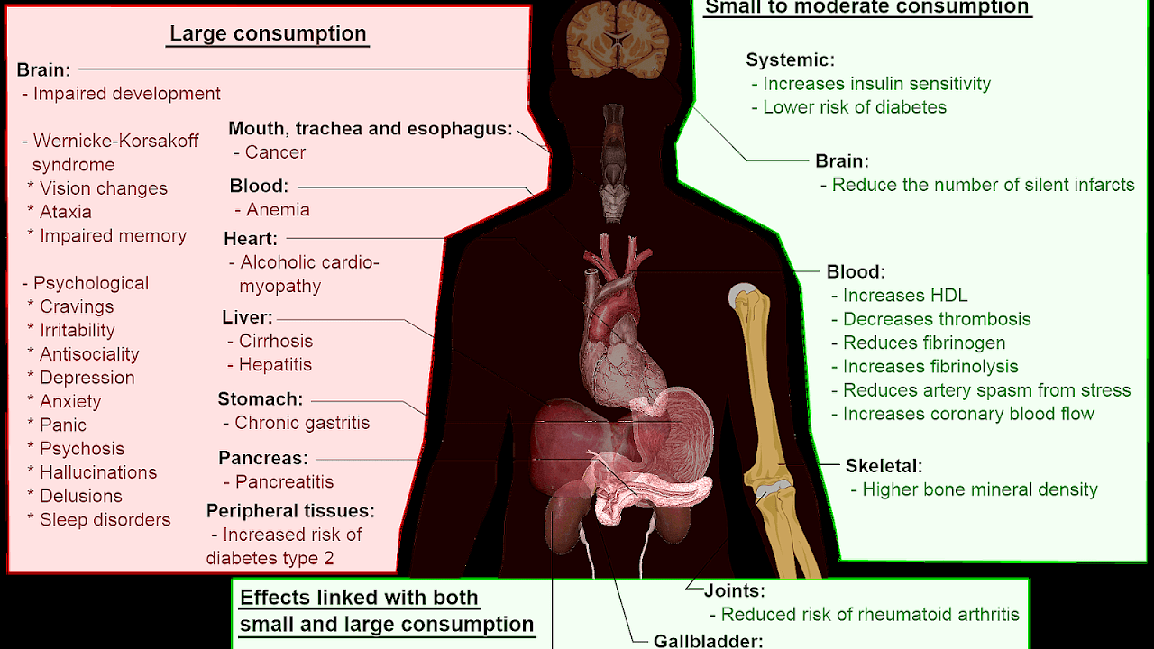 Long Term Effects Of Alcohol On The Heart Effect Choices