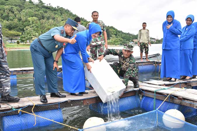 Danlantamal IX/Ambon Tebar Benih Kakap Putih Ambon, Malukupost.com - Komandan Pangkalan Utama TNI Angkatan Laut (Danlantamal) IX/Ambon Laksamana Pertama TNI Nur Singgih Prihartono menebar ribuan ekor benih ikan jenis kakap putih ke dalam keramba di pantai Teluk Ambon bagian dalam, Rabu (10/5). 1.000 ekor benih kakap putih itu ditebarkan oleh Danlantamal IX ke dalam keramba budidaya yang dibangun di belakang Markas Komando (Mako) Batalyon Marinir Pertahanan Pangkalan (Yonmarhanlan) IX/Ambon.