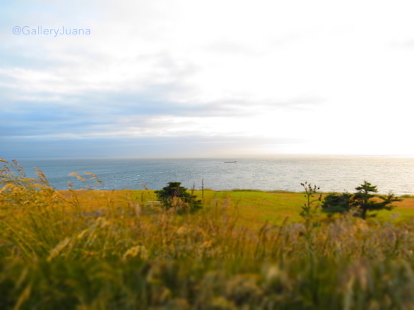 looking out at Strait of Juan de Fuca Fort Ebey, Strait of Juan de Fuca