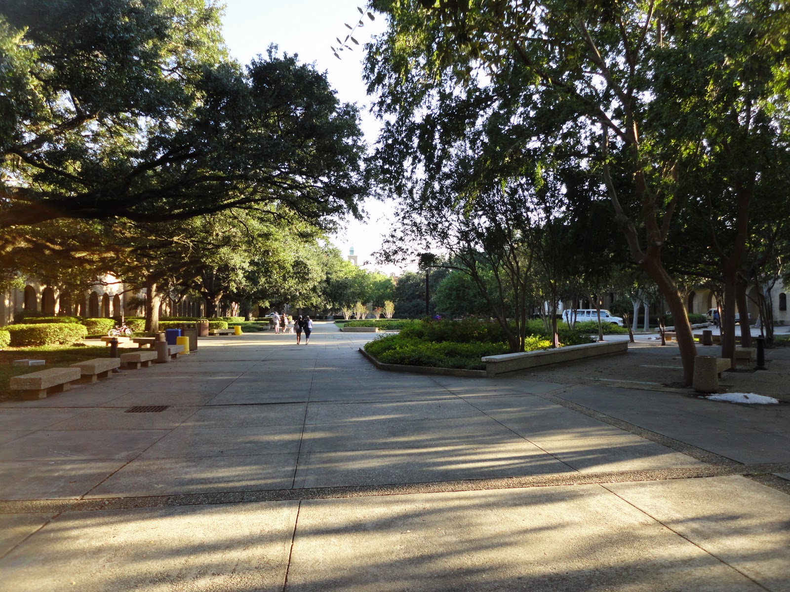 This is all you'll ever get...: LSU Campus