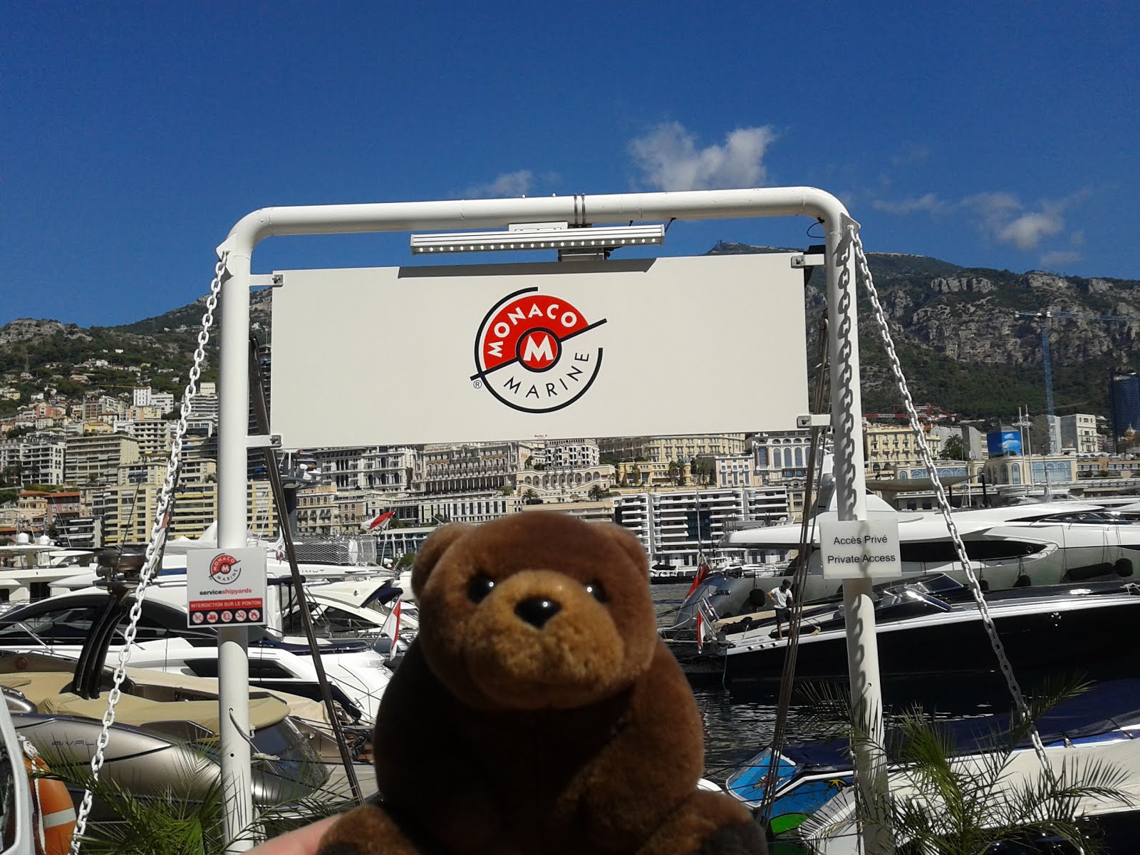Teddy Bear in Monte Carlo