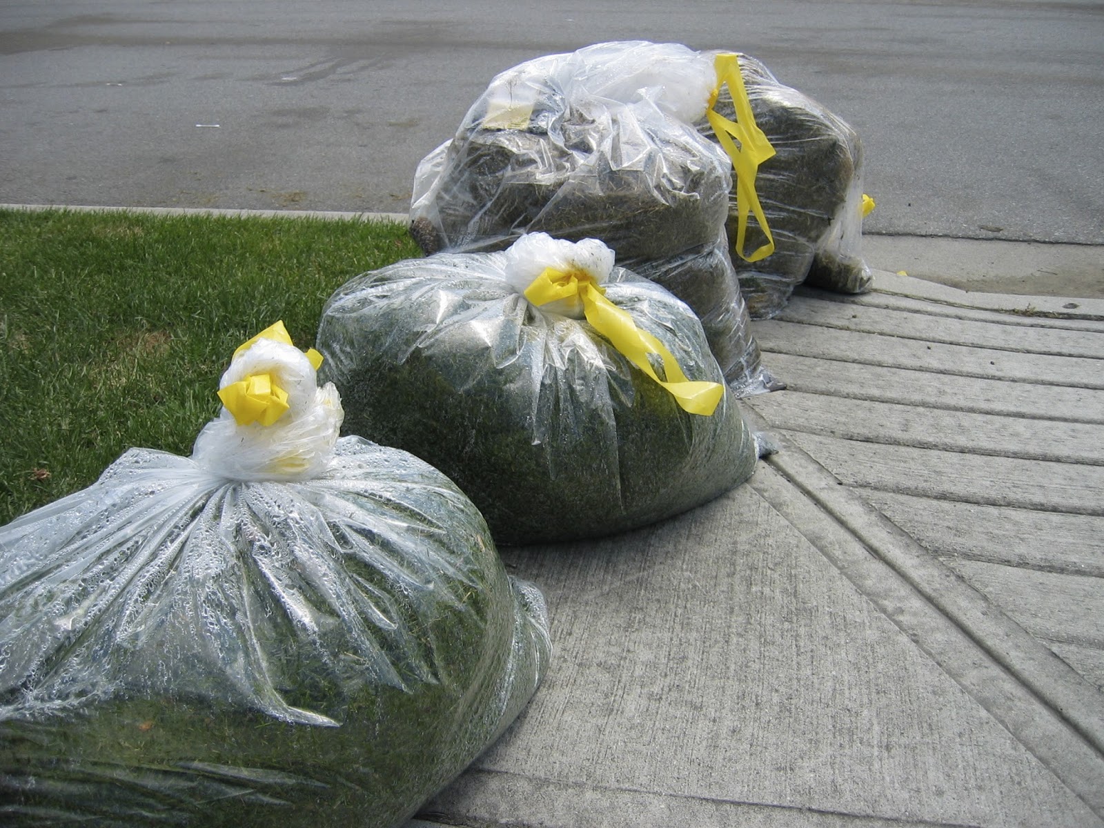 24 Cheap Mulch Ideas to Save Money Epic Gardening